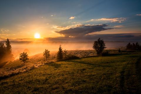 A sunrise over a field