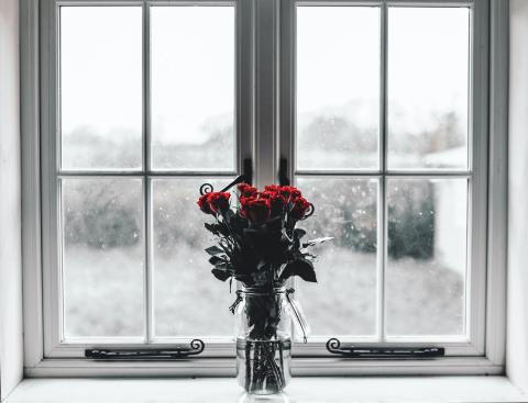 Bouquet of dried red roses in from of a window with snow outside