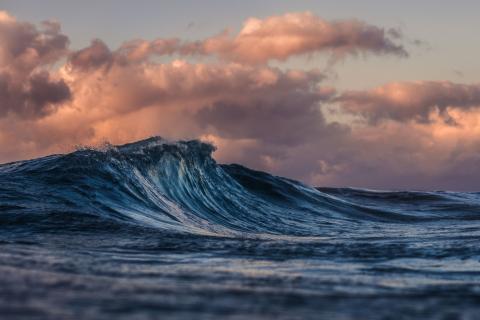 A wave in the ocean at sunset