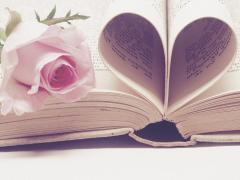 A pink rose on a open book with pages bent in a heart shape