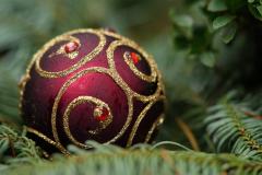 A red and gold ornament in a Christmas tree